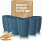 Wheat Straw Cups, Unbreakable Reusable Plastic Cup Set of 6, Lightweight by Perlapoc