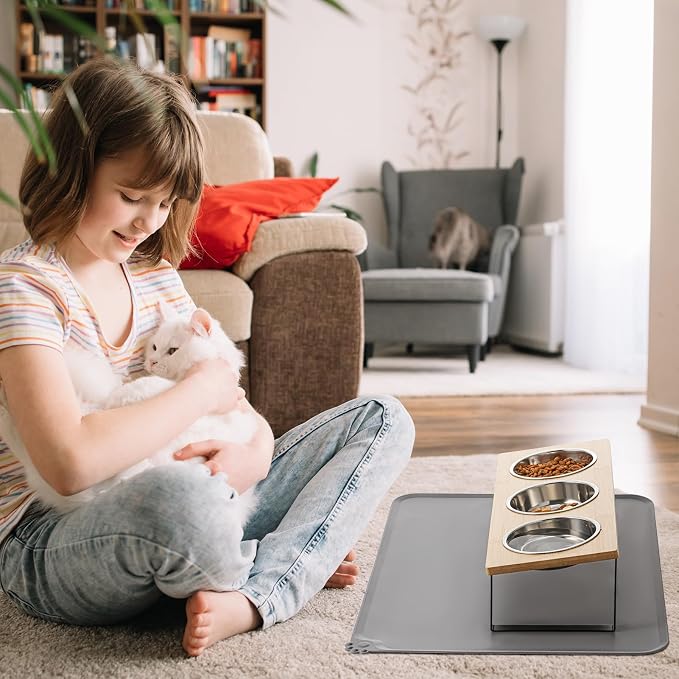 Upgraded Elevated Cat Bowls - Image 7