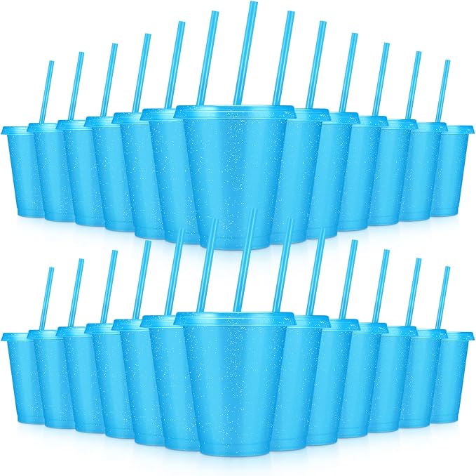 24 Pcs Plastic Tumblers with Lids and Straws, Reusable Cups with Lids Plastic by LEIFEOSH