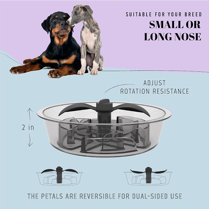 AVERYDAY Slow Feeder Dog Bowls for Large Breed, 2.5 Cups Deep Food Puzzle Bowl - Image 4