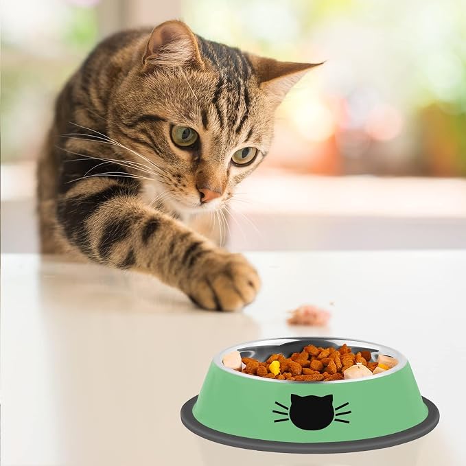 Serentive 2 Pcs Non-Slip Stainless Steel Small Cat Food Bowls - Image 6