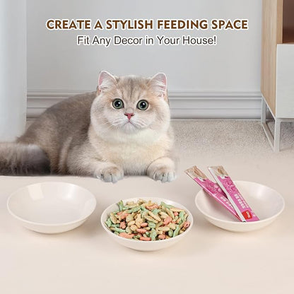 Ceramic Cat Dishes for Food - Image 5