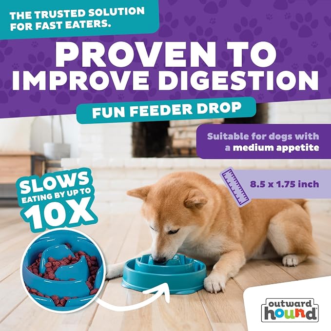 Outward Hound Fun Feeder Slo Bowl – Medium 2‑Cup Capacity, Slow Feeding - Image 4