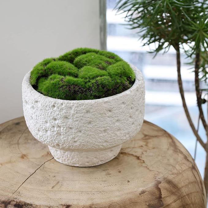 NAHARO New Moss Bowl, 6.5''Handmade Cement Bowl–Artificial Moss Centerpiece - Image 6