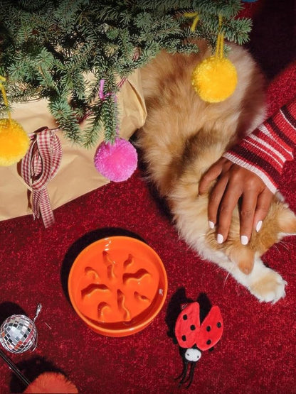 LE TAUCI PET Ceramic Slow Feeder Dog Bowls Small Breed, 0.5 Cups Dog Food Dish for Fast Eaters, Puzzle Bowl for Small Dogs and Cats, 5.5 Inch-Orange