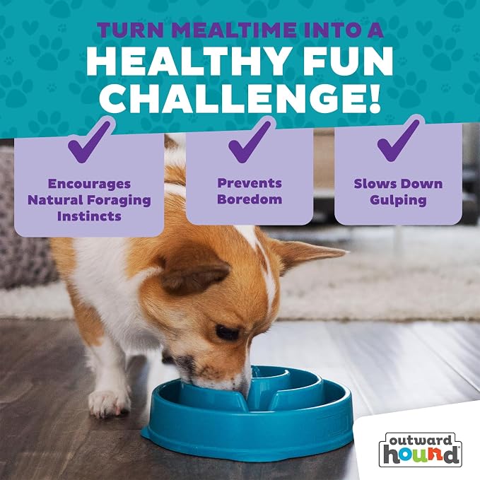 Outward Hound Fun Feeder Slo Bowl – Medium 2‑Cup Capacity, Slow Feeding - Image 7