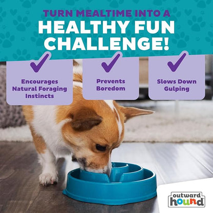 Outward Hound Fun Feeder Slo Bowl – Medium 2‑Cup Capacity, Slow Feeding - Image 7