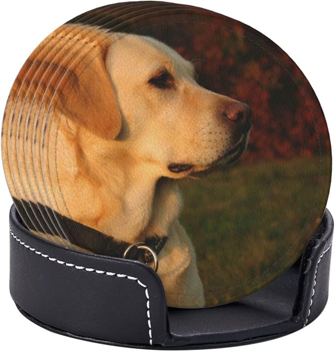 6 Pcs Golden Lab Labrador Retriever Family Loyal Hunting Dog Leather Coasters - Image 3