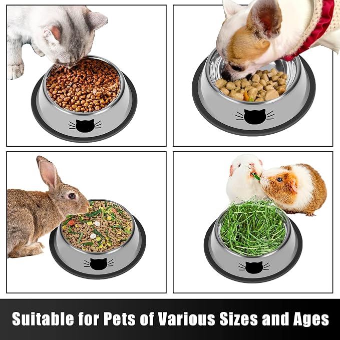 Serentive 2 Pcs Non-Slip Stainless Steel Small Cat Food Bowls - Image 5