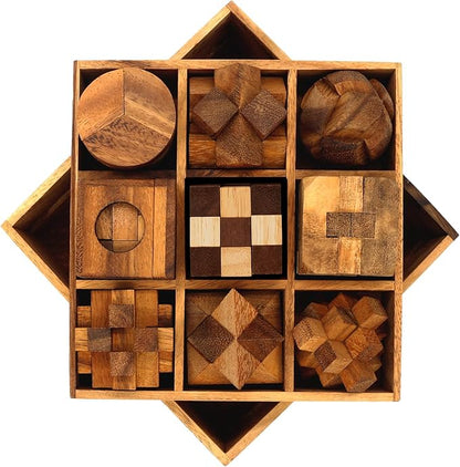 BSIRI 9 in 1 Wooden Brain Teaser Puzzles for Adults Teens Box Set Wood Hard Level 10 Impossible Mind Wood Brain Teaser Games 3D Hand Puzzle Sets for Decoration and Mini Toys