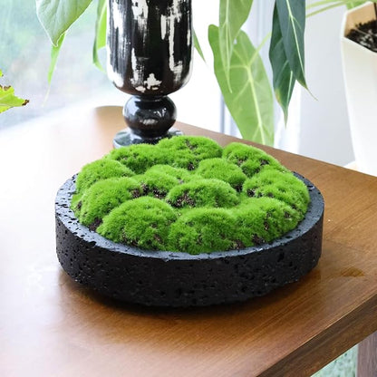 NAHARO New Moss Bowl, Living Room, or Coffee Table Display - Image 2