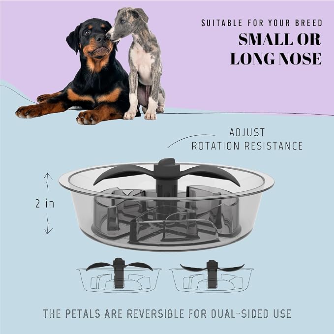 AVERYDAY Slow Feeder Dog Bowls for Medium Breed, 1.5 Cups Engagement Food - Image 4