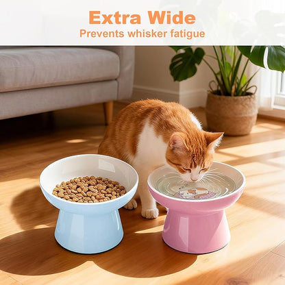 Elevated Cat Food Bowls 2 Pack,Ceramic Raised Cat Bowls with Non-Slip Base,Whisker Friendly Shallow Design for Dry & Wet Food,Anti-Vomiting Cat Feeder,Dishwasher & Microwave Safe (Pink&Blue)