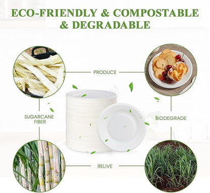 Vplus 100% Compostable Small Paper Plates, 300 Pack 6 Inch Disposable Paper Plates, Uncoated Biodegradable, Made of Sugar Cane Fibers, Perfect for Sandwich, Cake, and Snack