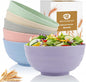 Large Soup Bowls 60oz, Unbreakable & Stackable Wheat Straw Bowls Sets of 6 by BUSOKIP