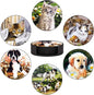Coasters Set of 6 by Unknown