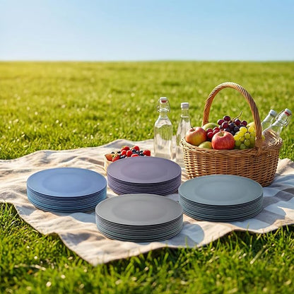 Plastic Dinner Plates Reusable, Unbreakable Salad Plates 10 inch set of 12, BPA Free Dishwasher & Microwave Safe Party Plate for Kids Kitchen Camper Outdoor (Grey Stone)