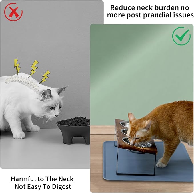 Summark Upgraded Elevated Cat Bowls - Image 2