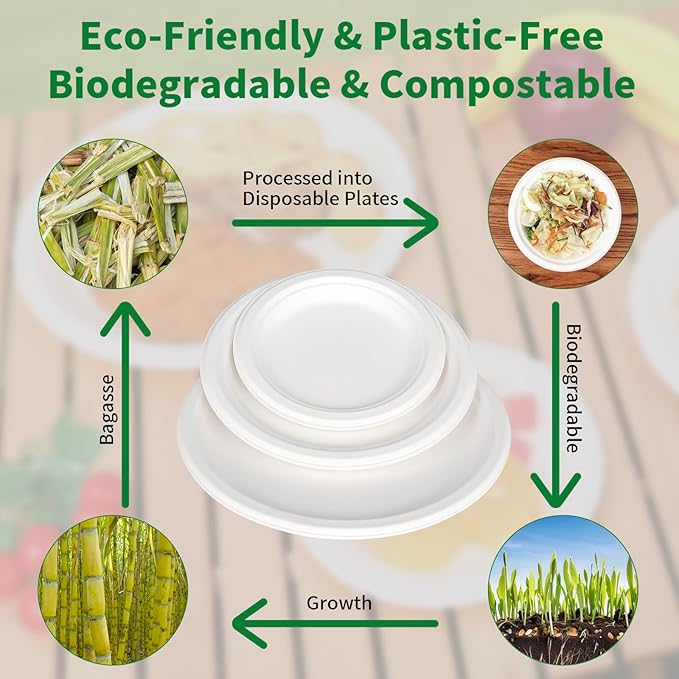Aricsen 150 Pack 7 Inch Compostable Disposable Round Paper Plates, Natural White Biodegradable Sugarcane Bagasse PFAS-Free Eco-Friendly Dinner Plates for Party Wedding Picnic BBQ (150, 7 INCH)