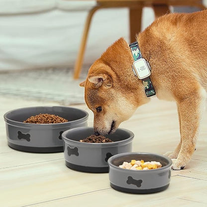 Sweejar Ceramic Dog Bowls with Bone Pattern, Dog Food Dish for Small Dogs, Porcelain Pet Bowl for Water 16 Fl Oz (Gray)