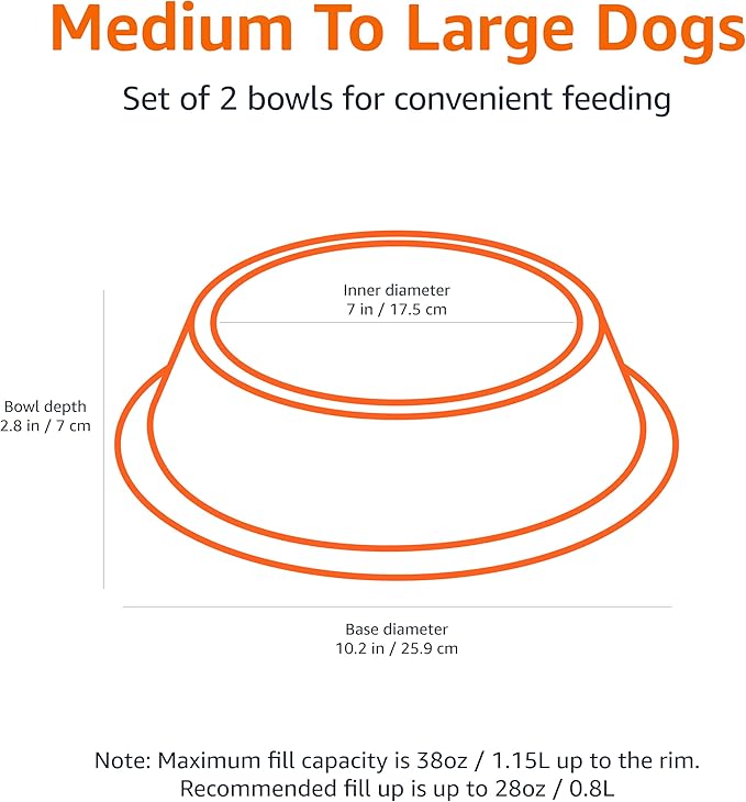 Amazon Basics Stainless Steel Non-Skid Dog Water And Food Bowls, Dishwasher Safe - Image 2