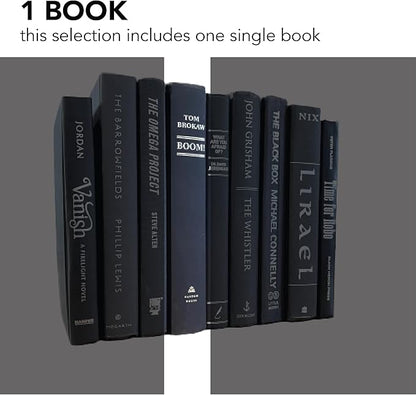 Real Books by Color® (1 Single, Black Silver) Decorative Bookshelf Home Decor Shelf Styling Photo Prop