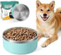 IKITCHEN Dog Bowl for Food and Water, 40 Oz Stainless Steel Pet Feeding Bowl, Durable Non-Skid Double Wall Insulated Heavy Duty with Rubber Bottom for Medium Large Dogs (40 Ounces/5 Cup, MintGreen)