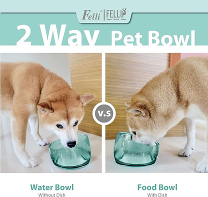 Felli Pet Oblik Acrylic Raised Dog Food Water Bowl Stainless Steel Slanted Oval Dish for Short Leg Puppy & Small Medium Pet, Elevated Tilted Metal Feeder (Classic, 1.5 Cups Oval Dish)