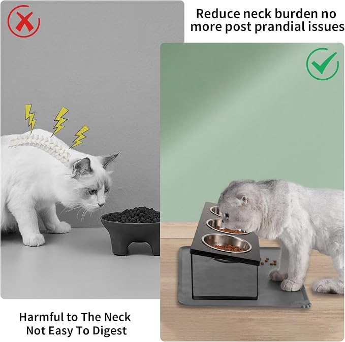 Summark Upgraded Elevated Cat Bowls - Image 2