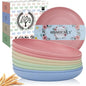 Unbreakable Deep Dinner Plates Wheat Straw Plates Sets Microwave and Dishwasher by HOMIENLY