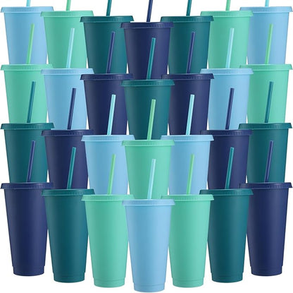 Honeydak 30 Pack Tumbler with Straw and Lid Bulk Cups by Honeydak