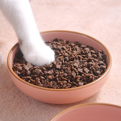 Ceramic Cat Bowls, Howise Pet Bowl Cat Dishes - Image 7