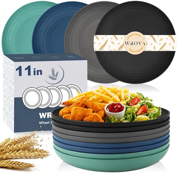11 Inch Large Dinner Plates Set of 8 by WROVA