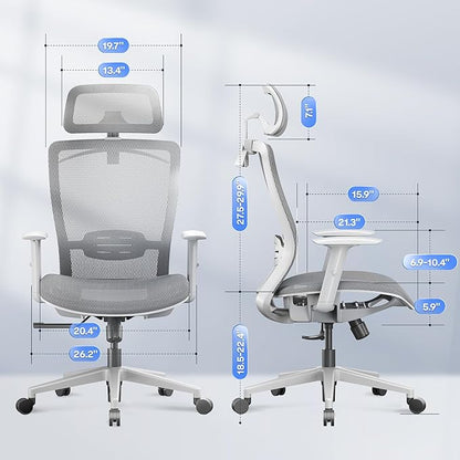 FLEXISPOT OC3 Air Ergonomic Office Chair Mesh Back Swivel Computer Chair Executive Office Desk Chairs with Adjustable Lumbar Support/2D Headrest/Lockable Backrest, Mesh Seat Cushion, Light Gray