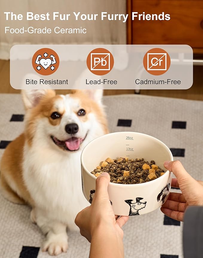 Ceramic Dog Bowl Set of 2 with Weighted Non-Slip Ring-3.3 Cups, Stoneware Food and Water Set, Pet Feeding, Microwave and Dishwasher Safe-Derpy-M 2pcs