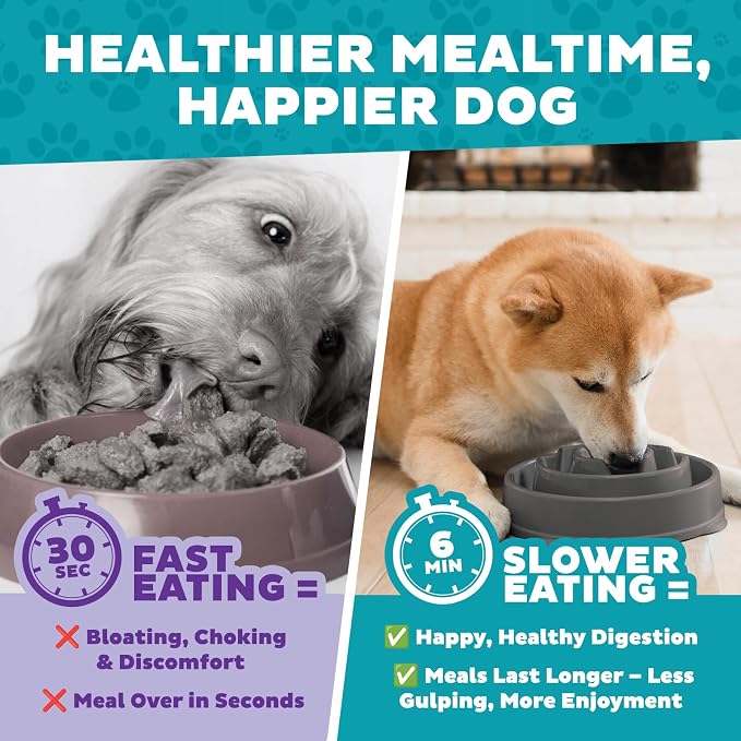 Outward Hound Fun Feeder Slo Bowl – Medium 2‑Cup Capacity, Slow Feeding - Image 6