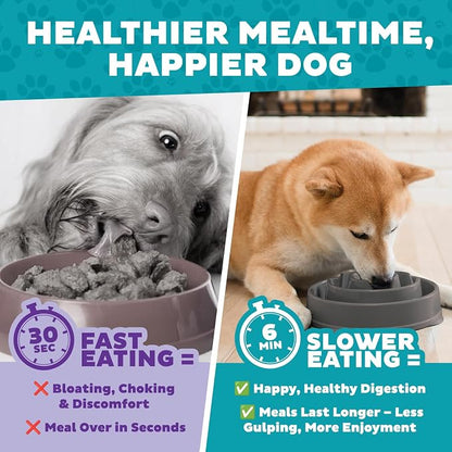Outward Hound Fun Feeder Slo Bowl – Medium 2‑Cup Capacity, Slow Feeding - Image 6