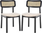 SAFAVIEH Home Collection Egon Coastal Black/White Dining Chair Set of 2