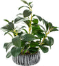AlphaAcc Artificial Succulents Plants Decor Greenery Fake Succulents Indoor Potted Fake Plant with Rustic Black Clay Planter for Farmhouse Room Bathroom Bedroom Kitchen Office Dese Coffee Table Decor