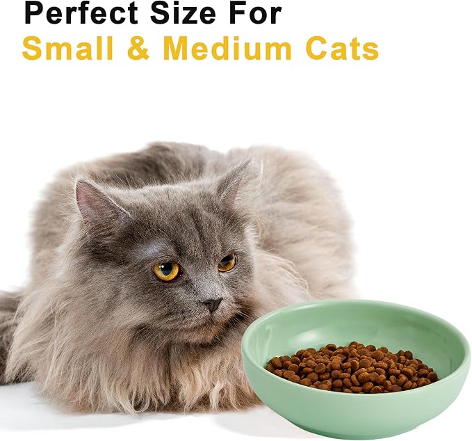 Howise 5.3 in Ceramic Cat Bowls Set, Shallow Food Bowl - Image 5