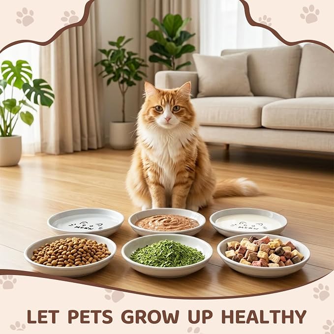 YINEYA 6 Pack Cat Food Bowls, Anti Whisker Fatigue Ceramic Cats Dishes Set - Image 7