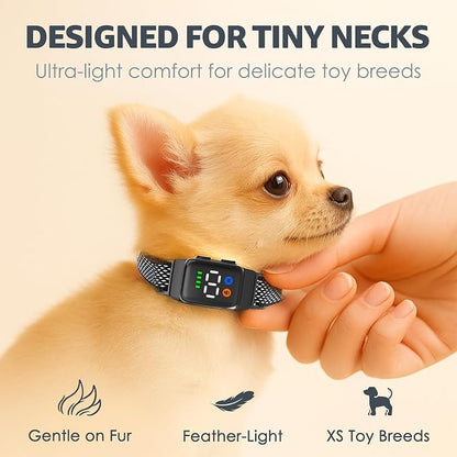Teacup Bark Collar for Small Dogs 2-15lbs - Image 2