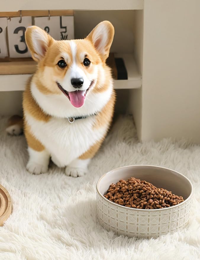 Ceramic Dog Bowls, Dog Food Bowls Water Bowl, 6.5inch Dogs Dishes - Image 5