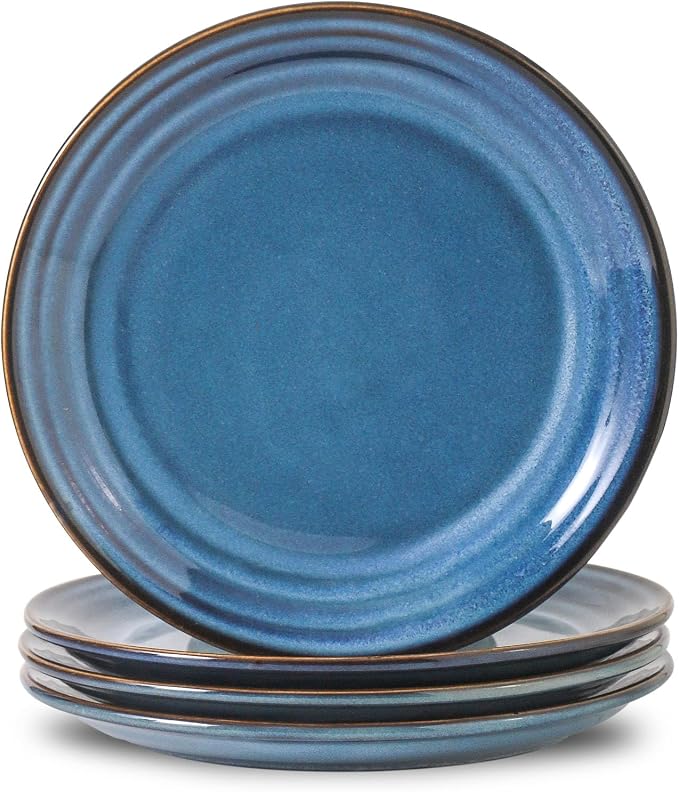 HASENSE Dessert Plates Set of 4, 8 Inch Porcelain Salad Dinner Plates Set by Hasense
