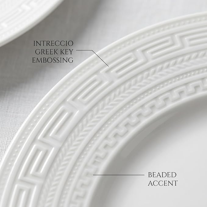 10 Inch Porcelain Dinner Plates Set of 4, Dishwasher safe, Microwave safe - Image 6