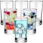 Bokon 6 Pcs Beer Flight Glasses, Small Clear Tasting Cup by Bokon