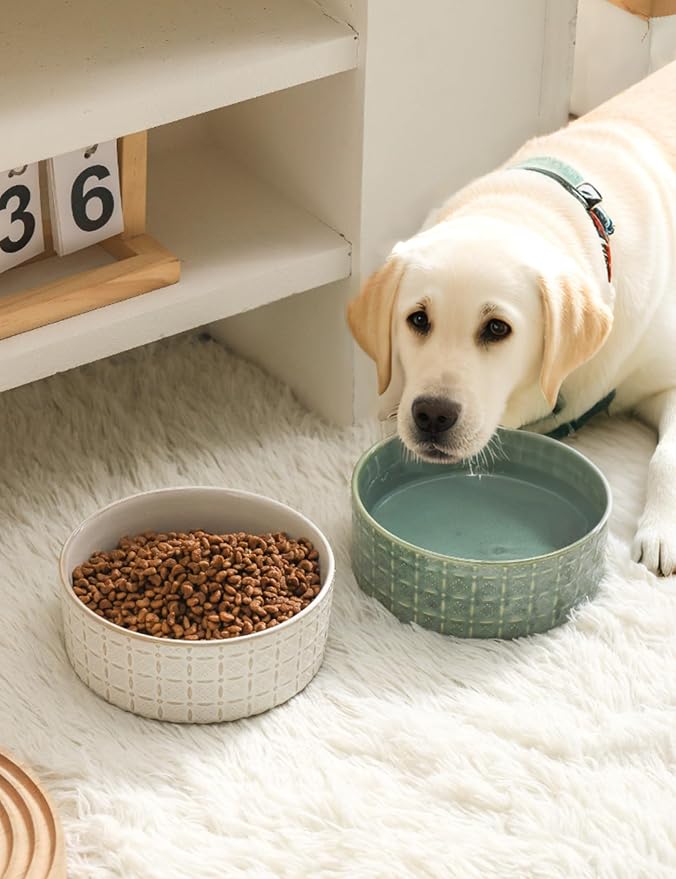 Ceramic Dog Bowls, Dog Food Bowls Water Bowl, 6.5inch Dogs Dishes - Image 7