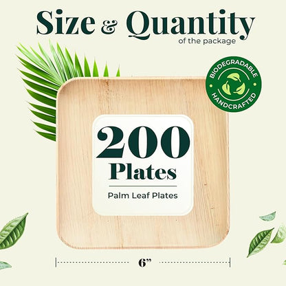 Palm Leaf Plate Bamboo Paper Disposable 6 Inch 200 Bulk Appetizer and Dessert Square Party Pack Eco Biodegradable Compostable Wooden Plate Better Than Plastic By KoalaLove