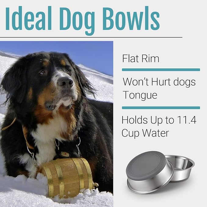 Nonslip Stainless Steel Dog Bowls, 11.4 US Cup, Dishwasher safe, Stackable - Image 4