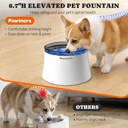Pawtners 1 Gal/3.5L Dog Water Fountain, Automatic Dog Water Bowl Dispenser | - Image 2